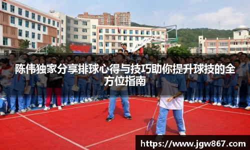 陈伟独家分享排球心得与技巧助你提升球技的全方位指南